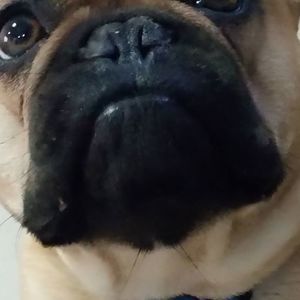 Meet your Posher, Stacey